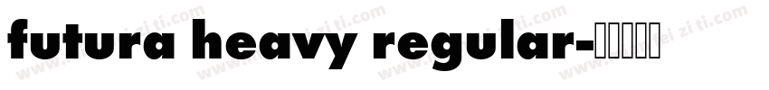 futura heavy regular字体转换